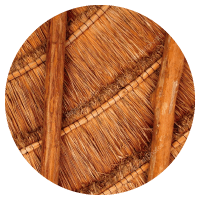 Palapa
